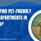 How to Find Pet-Friendly Service Apartments in Gurgaon?