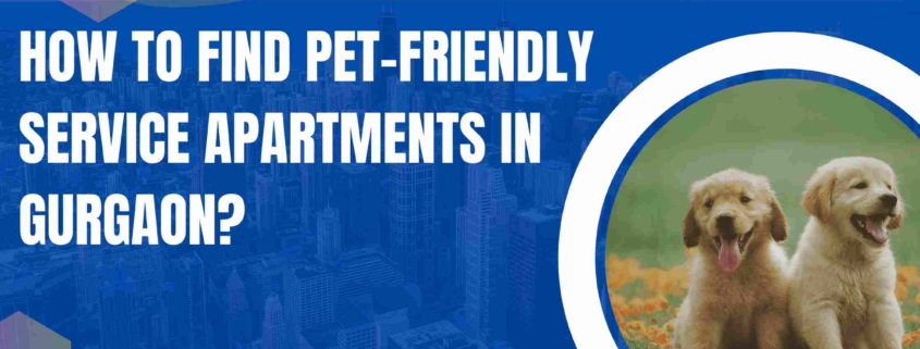 How to Find Pet-Friendly Service Apartments in Gurgaon?